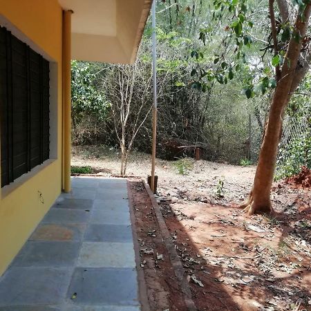 purity guest house Auroville Extérieur photo