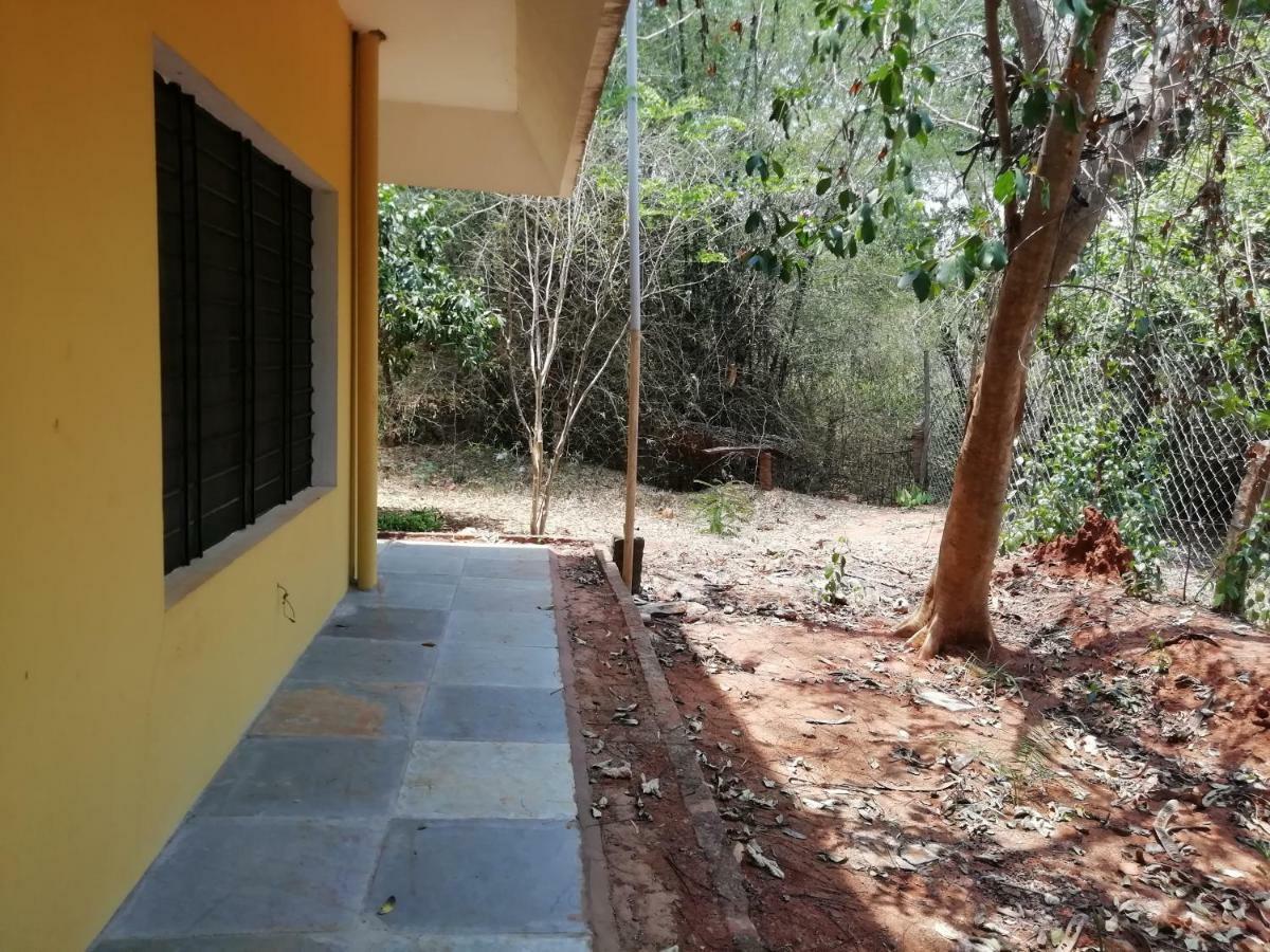 purity guest house Auroville Extérieur photo