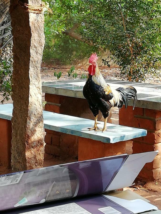 purity guest house Auroville Extérieur photo